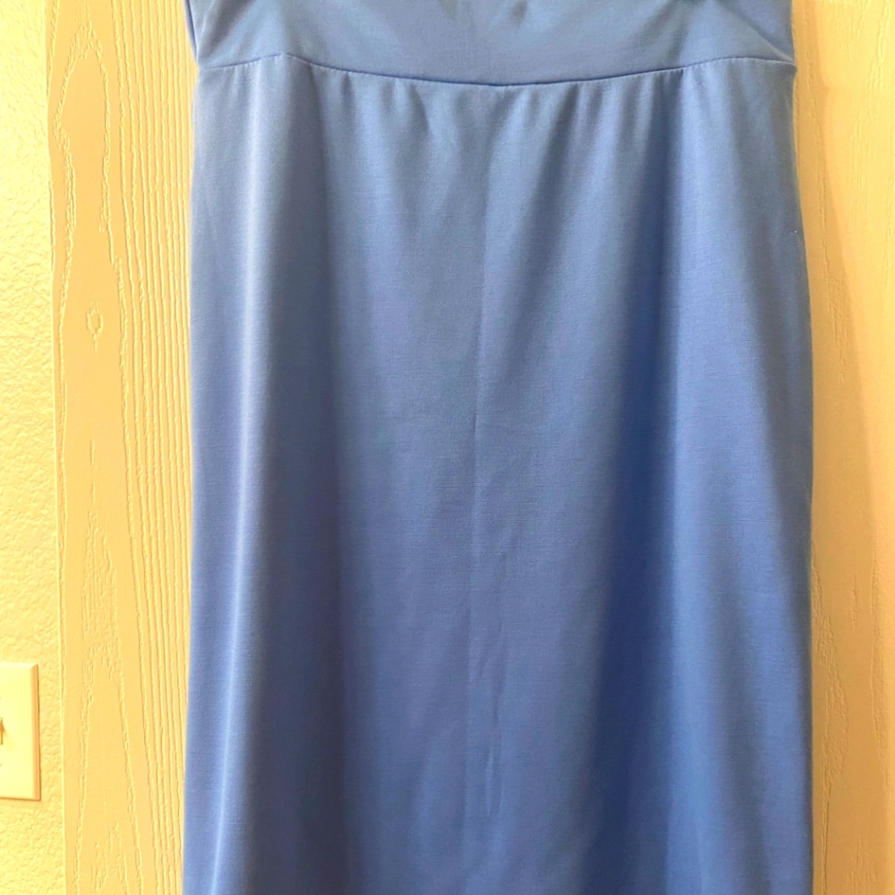 Short Periwinkle Skirt